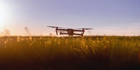 DL Semplificazioni e agricoltura. Sfide e opportunità delle nuove tecnologie