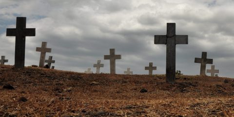 Cimitero dei feti a Roma, la facile soluzione: nome di fantasia sulle croci al posto di quello delle madri