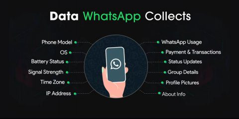 WhatsApp, in Europa no condivisione dati grazie al GDPR. Ma in futuro potrebbe succedere