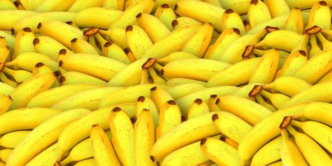 L’ordine delle banane: esigenza innata o culturale?