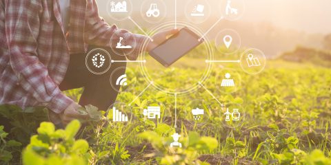 Vodafone, digitale strategico per la produttività degli agricoltori (Report)