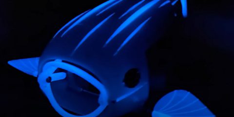 Microplastiche, un pesce ‘robot’ per ripulire laghi e mari (video)