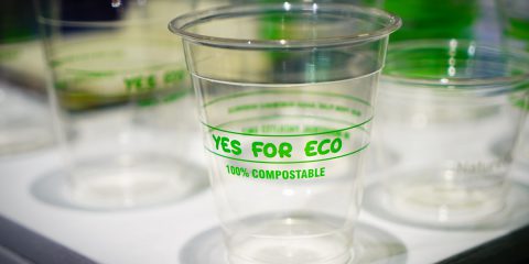Plastica biodegradabile, se ne produrrà fino a 6 milioni di tonnellate entro il 2028. Ma è davvero la soluzione all’inquinamento?