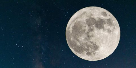 Le sorprese della luna del verme