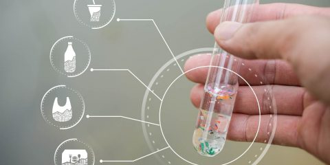 Microplastiche, le più piccole arrivano al cervello appena due ore dopo averle ingerite. Lo Studio