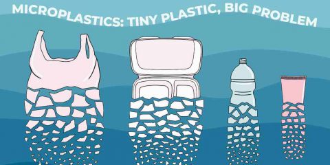 Plastica, ne produciamo 300 milioni di tonnellate all’anno e gli oceani sono zuppe di polimeri sintetici