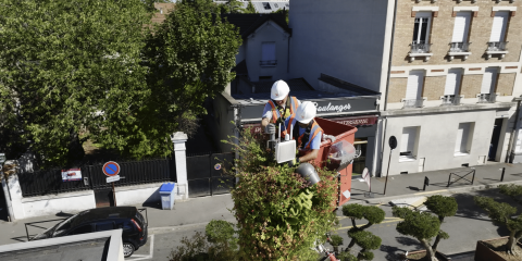 5G, in Francia la prima antenna ‘vegetalizzata’ nel 2024 (video)