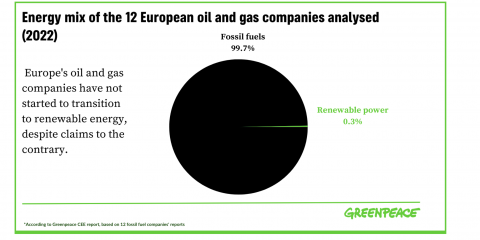 Greenpeace: “Da ENI, Shell, BP e TotalEnergies meno dell’1% dell’energia prodotta da fonti rinnovabili”