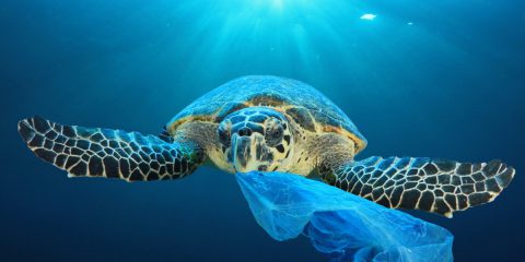 Il Mediterraneo è il mare europeo più inquinato di plastica