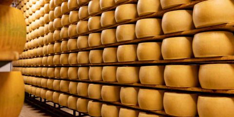 Vero o Falso. Parmigiano, quello vero sarà certificato da microchip commestibile e blockchain