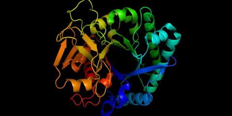 IA per lo sviluppo di nuove proteine grazie al software RosettaFold