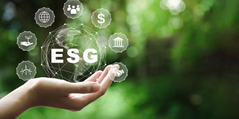 Sostenibilità ambientale, quale approccio ESG nelle aziende?
