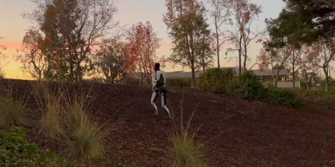 Tesla Optimus scala colline e supera ostacoli (video)