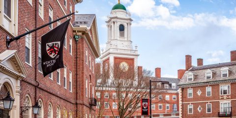 Il costo della Harvard University: 91.166 dollari