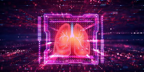 Organi su chip per sviluppare rapidamente farmaci senza sfruttare gli animali