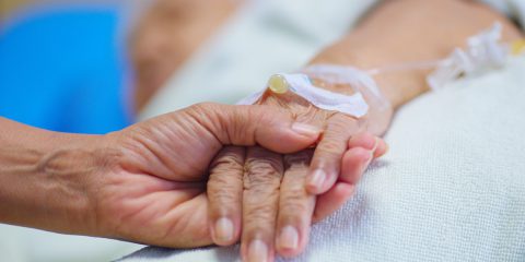 La Giornata Parlamentare. Arriva il ddl sul fine vita, Meloni incontra il Papa