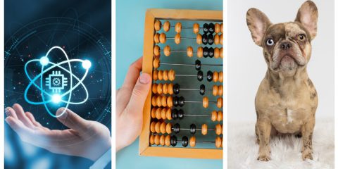 La quantistica alla prova di un vecchio computer VIC-20, un abaco e un cane