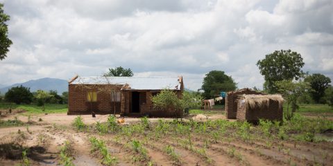In Africa l’AI sta aiutando alcuni piccoli agricoltori ad affrontare il cambiamento climatico