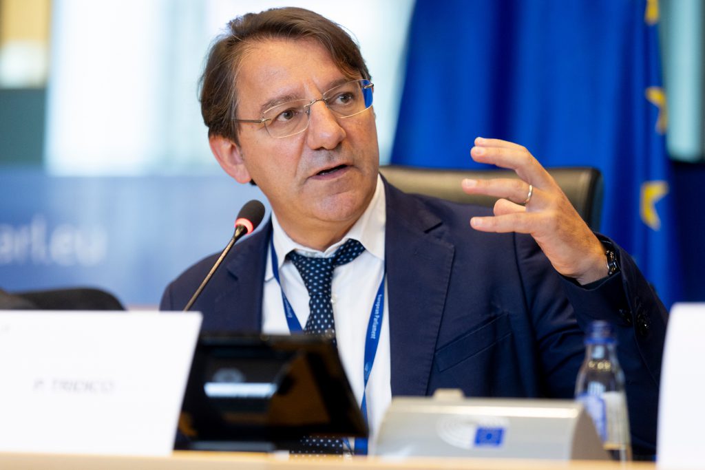 Tridico, Parlamento UE